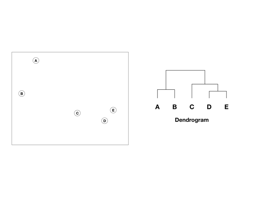 /img/programming/clustering/clustering.014.jpeg